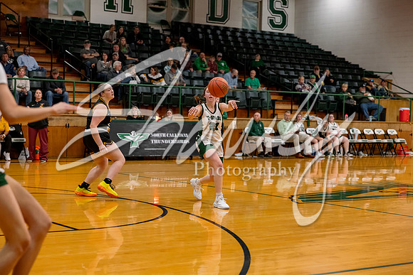 2024.12.16 NCHS Ladybirds Basketball Vs. Van-Far-34