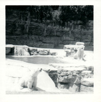 Bradley Family2_0812