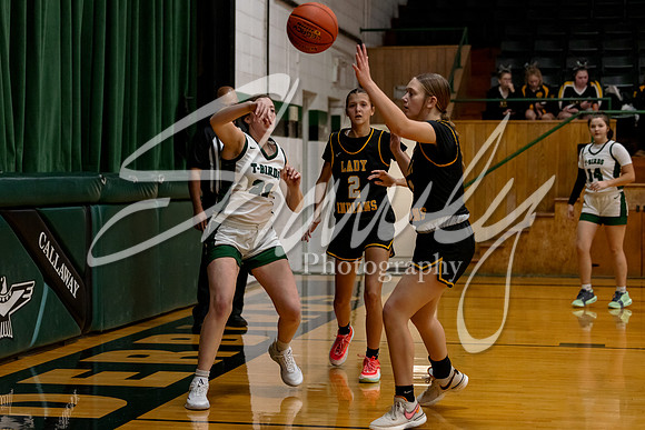 2024.12.16 NCHS Ladybirds Basketball Vs. Van-Far-7