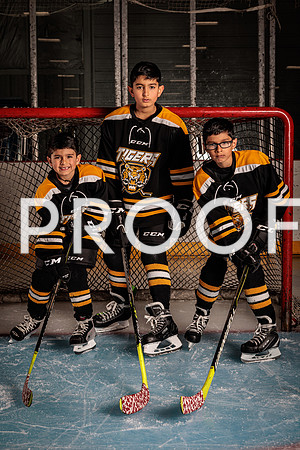 Mid-Mo Tigers Hockey-2