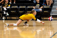 2025.08.28 FHS Volleyball Vs. Mexico-14