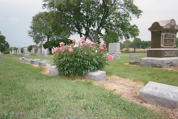 Bradley Family_1342