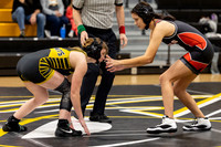 2026.01.21 FHS Wrestling-15