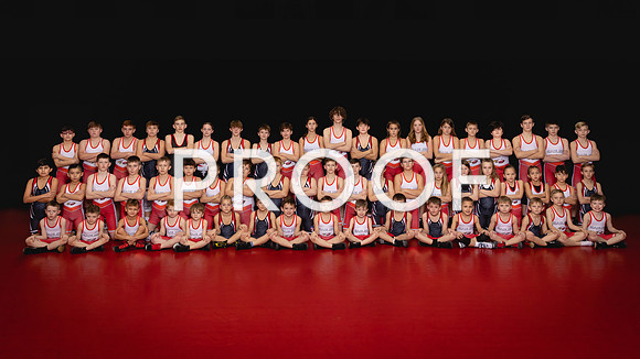 Team