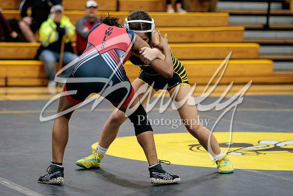 2023.01.31 FHS Wrestling Vs. Marshall01770