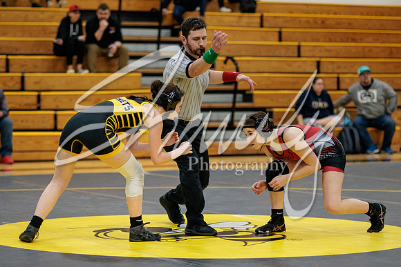 2023.01.31 FHS Wrestling Vs. Marshall01880