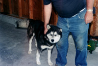 Bradley Family_0520