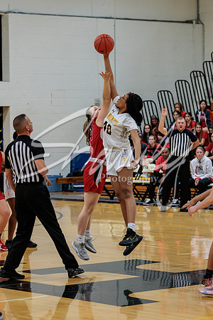 2023.02.13 FHS Girls Basketball Vs. Mexico-6