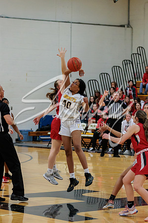 2023.02.13 FHS Girls Basketball Vs. Mexico-8