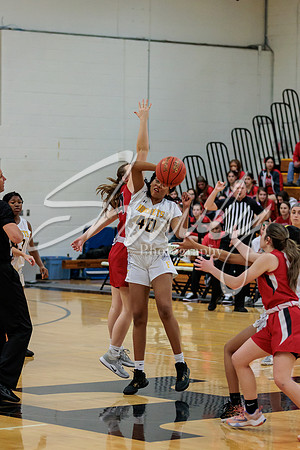2023.02.13 FHS Girls Basketball Vs. Mexico-9