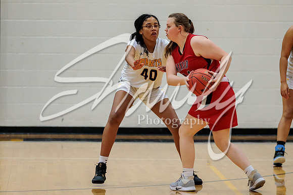 2023.02.13 FHS Girls Basketball Vs. Mexico-12