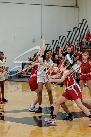 2023.02.13 FHS Girls Basketball Vs. Mexico-11