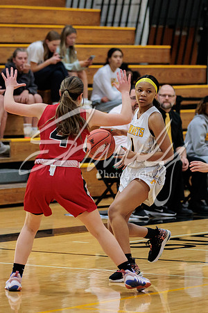 2023.02.13 FHS Girls Basketball Vs. Mexico-15