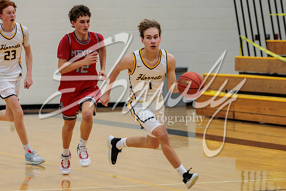 2023.02.14 FHS Boys Basketball Vs. Mexico-20