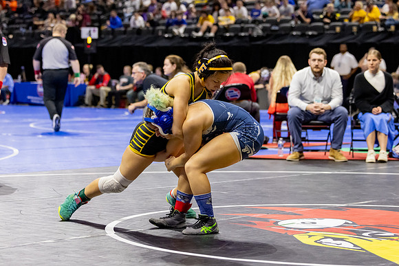 2025.02.27 MSHSAA Wrestling Championships-7