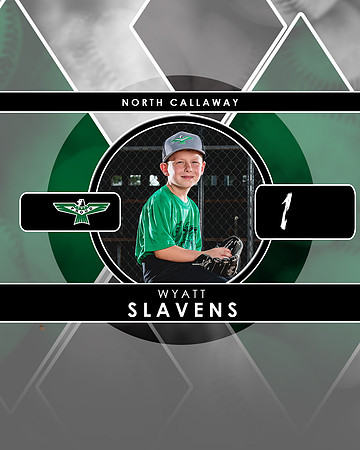 Slavens Buttonjpg