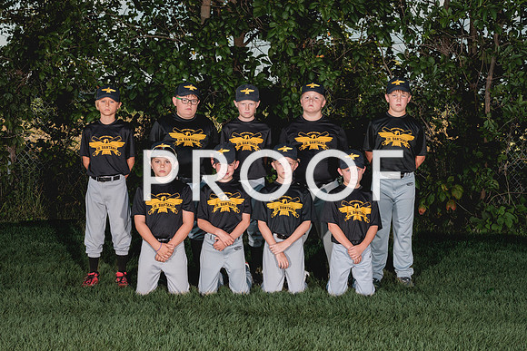 Team