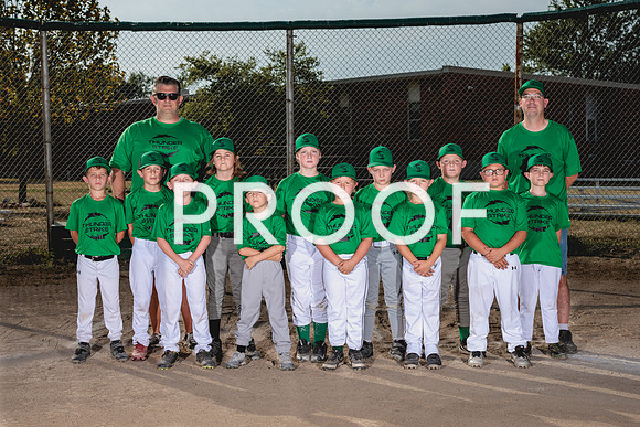 Team