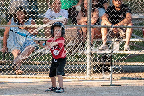 2022.06.29 Fulton P&R T-Ball2262