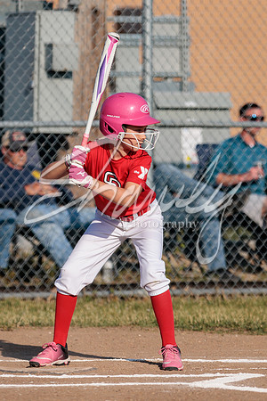 2023.06.12 S. Boone Little League Game Photos00354