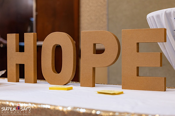2026.09.25 SSF Hope Gala-75