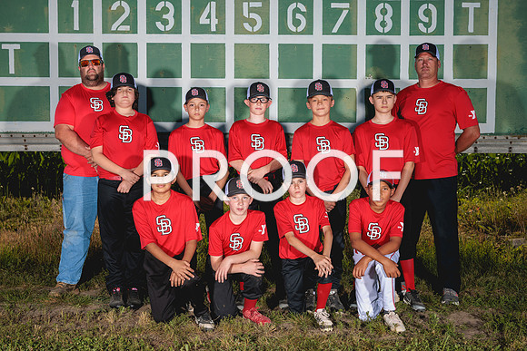 Team