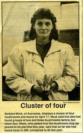 Cluster of Four
