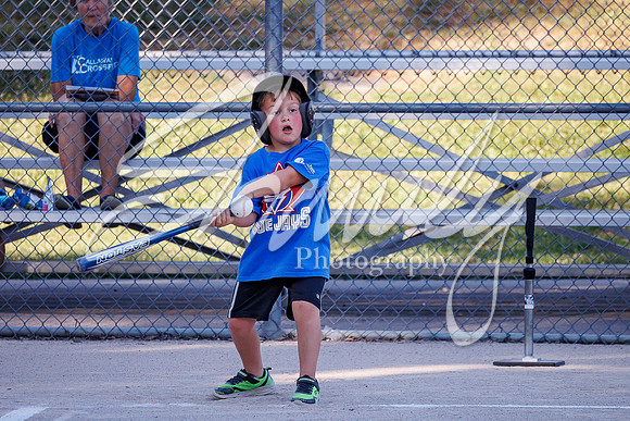 2022.06.29 Fulton P&R T-Ball0112