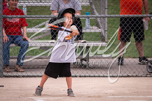 2021.06.14 Fulton P&R T-Ball01167