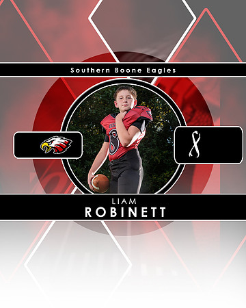 L. Robinett Button