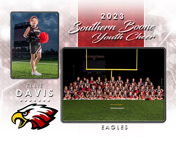 Davis MM