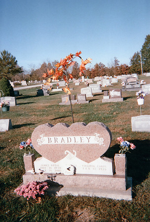 Bradley Family_1306