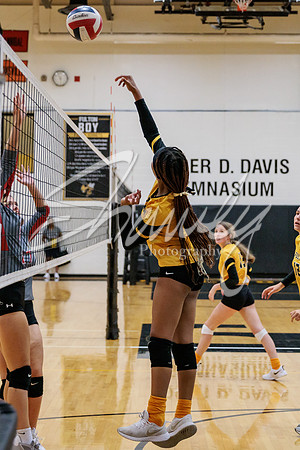 2022.09.19 FHS Volleyball Vs. Mexico2534