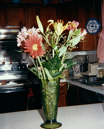 Bradley Family_0035
