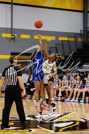 2023.12.12 FHS Girls Basketball Vs. Boonville-4