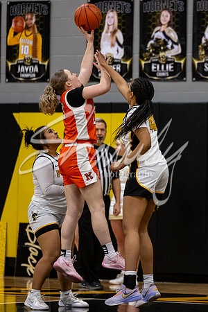 2025.02.14 FHS Girls Basketball Vs. Kirksville-5