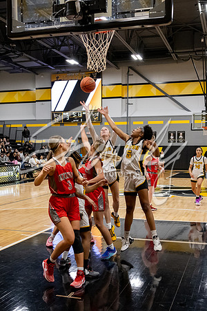 2024.2.13 FHS Girls Basketball Vs. Mexico-24