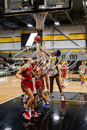 2024.2.13 FHS Girls Basketball Vs. Mexico-25