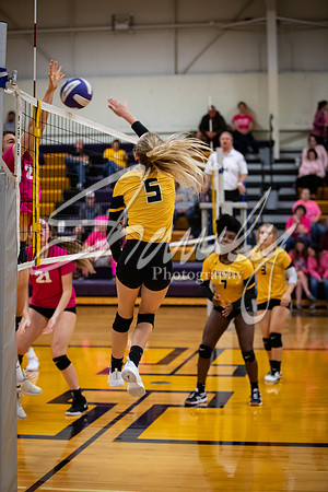 2019.10.15 @ Hallsville-158