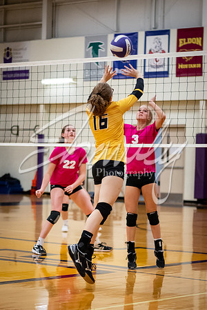 2019.10.15 @ Hallsville-59