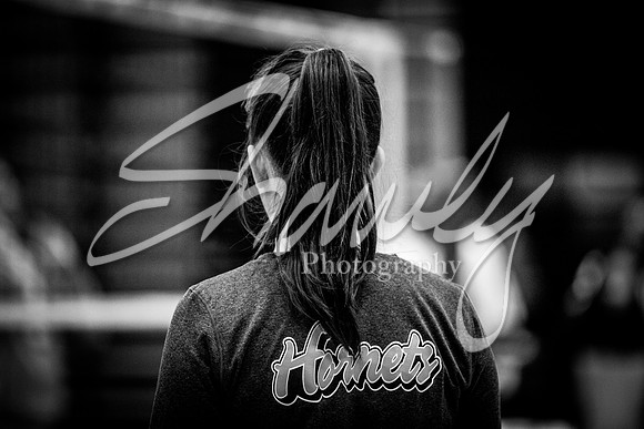 2019.10.08 @ Marshall-1