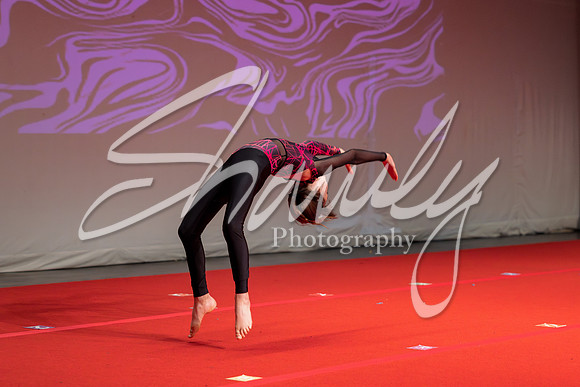 JDS 2024 Recital Performance A-391