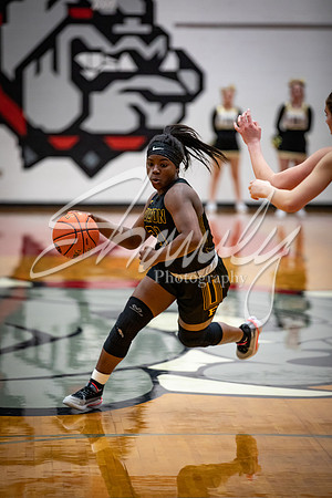 2020.03.02 Districts Girls Vs. Warrenton00200