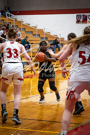 2020.03.02 Districts Girls Vs. Warrenton00912