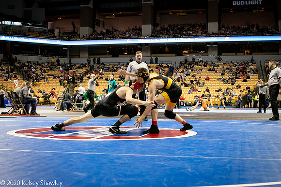 2020.02.20 FHS Wrestling State_00410
