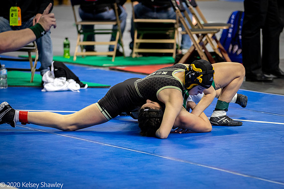 2020.02.20 FHS Wrestling State_00192