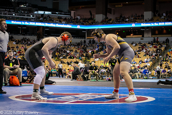 2020.02.21 FHS Wrestling State_01740