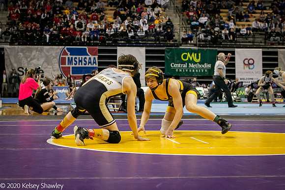 2020.02.22 FHS Wrestling State04093