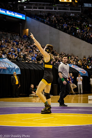 2020.02.22 FHS Wrestling State03110