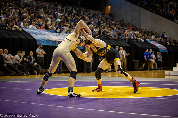 2020.02.22 FHS Wrestling State03485